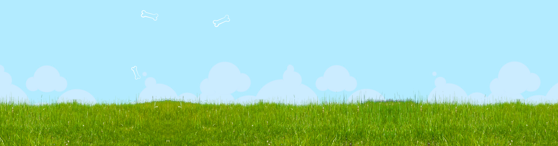 Custom Bobbleheads & Bobblehead Pets in Canada / Bobbleworld.ca